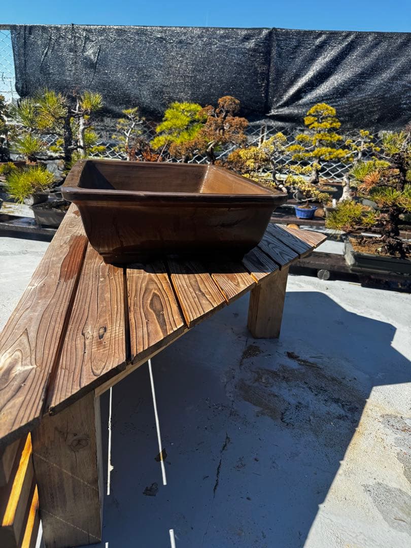 陶器製 深型盆栽鉢 ブラウン 22号