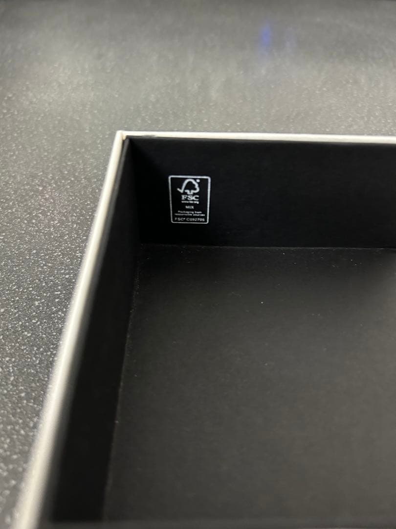 【極美品】LOEWE ロエベ　シルバー ロゴブローチ