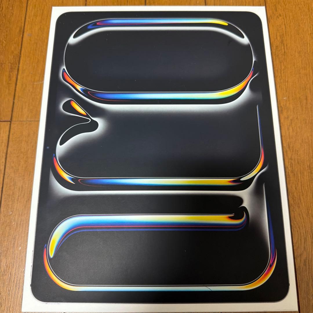 iPad Pro 13インチ 第1世代 256GB スペースグレー wifi