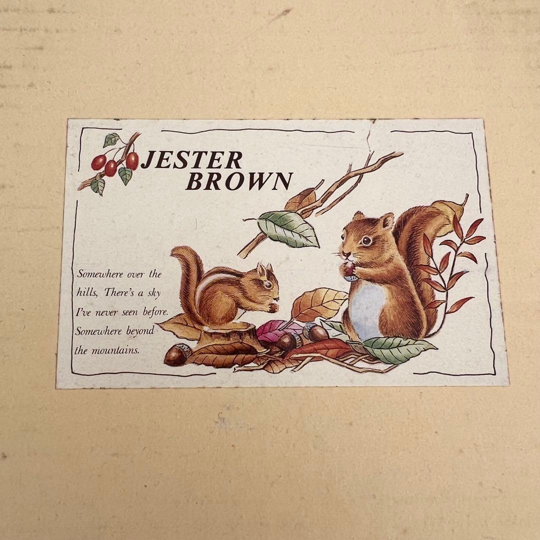 希少❤️【在庫限り】ジェスター　ブラウン　浅型両手鍋　24cm レトロ　匿名配送